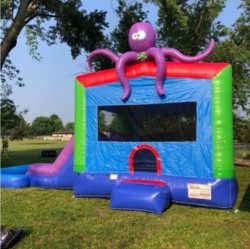 Screenshot 20240526 075019 Chrome 1716747946 Octopus Bounce House/Water Slide Combo