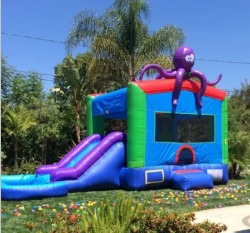 Octopus Bounce House/Water Slide Combo